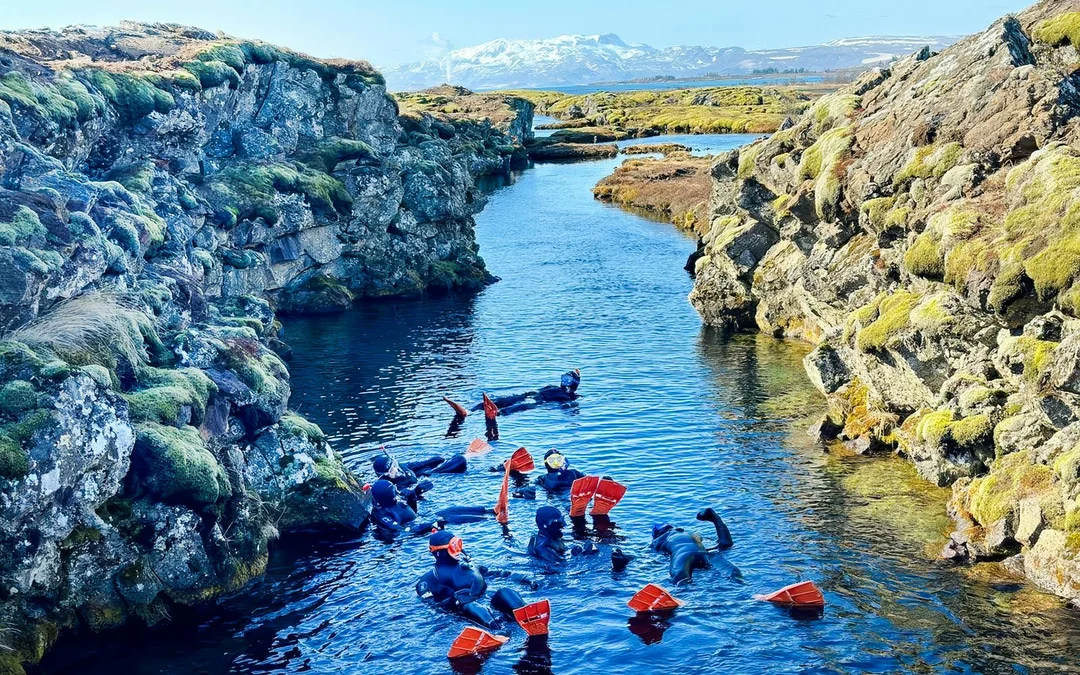 Silfra: Silfra Fissure Snorkeling between Two Continents with Photos Image 4