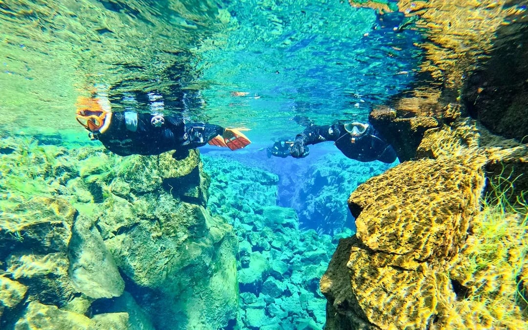 Silfra: Silfra Fissure Snorkeling between Two Continents with Photos Image 8