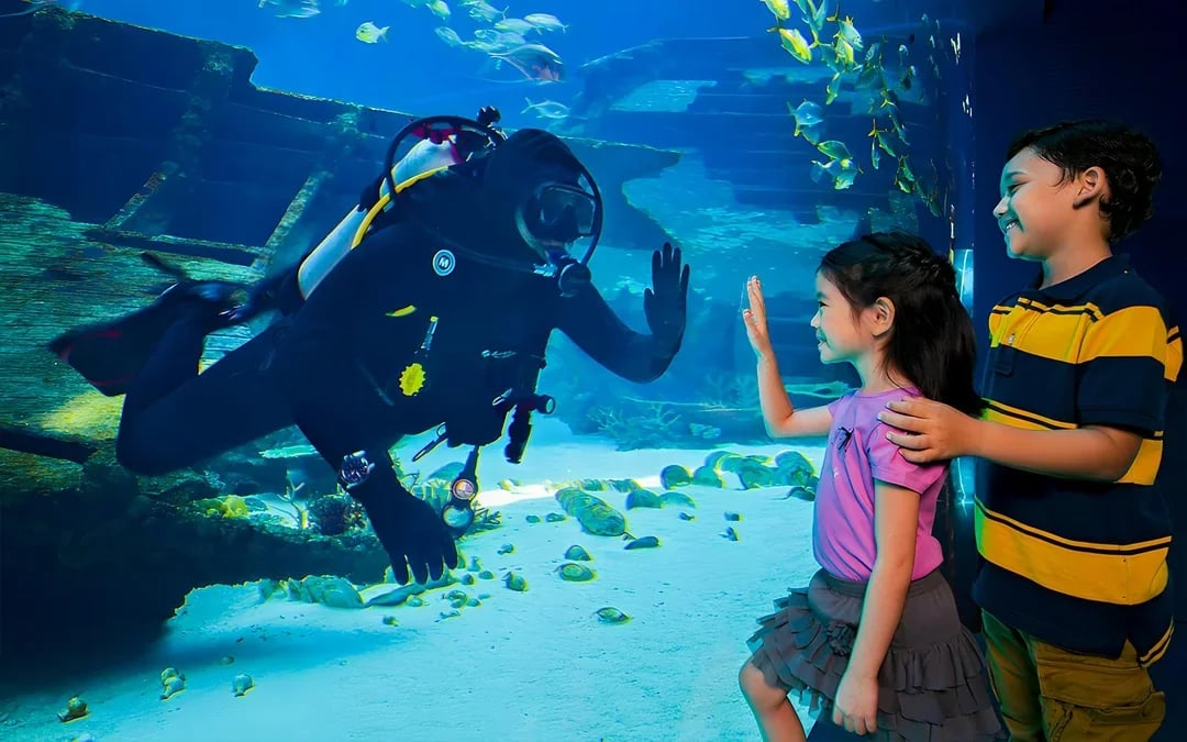 Singapore Oceanarium Dive Programs with Adventure Cove Waterpark Entry Image 3