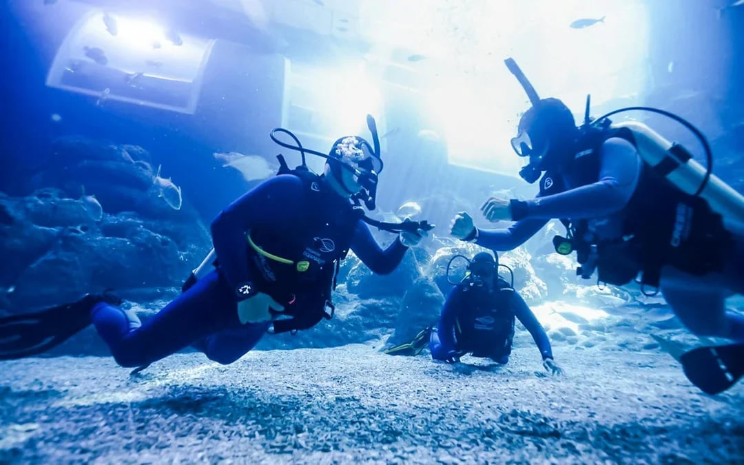 Singapore Oceanarium Dive Programs with Adventure Cove Waterpark Entry Image 4