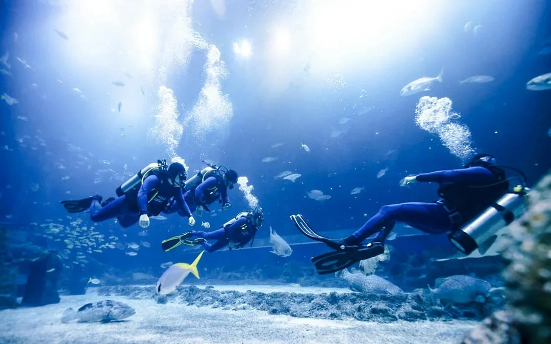 Singapore Oceanarium Dive Programs with Adventure Cove Waterpark Entry Image 6