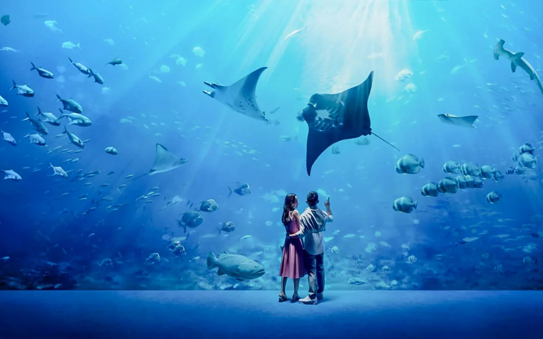 Singapore Oceanarium Insider VIP Experience Image 2