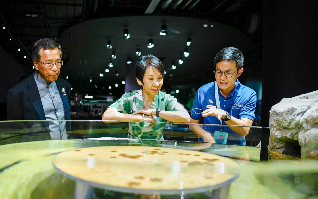 Singapore Oceanarium Insider VIP Experience Image 3