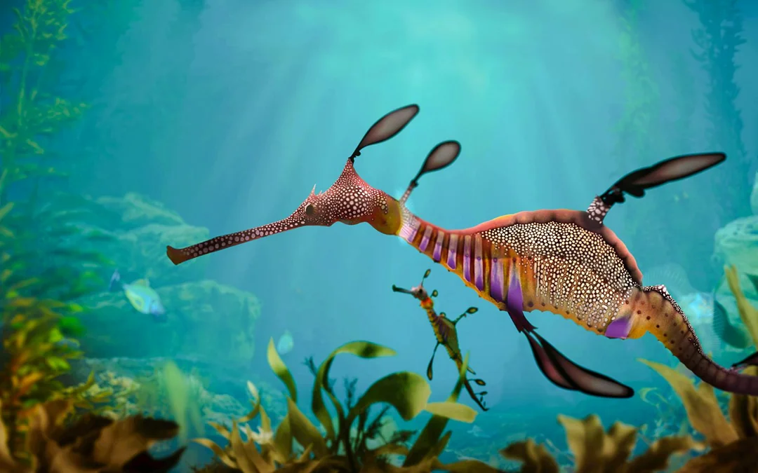 Singapore Oceanarium Insider VIP Experience Image 4