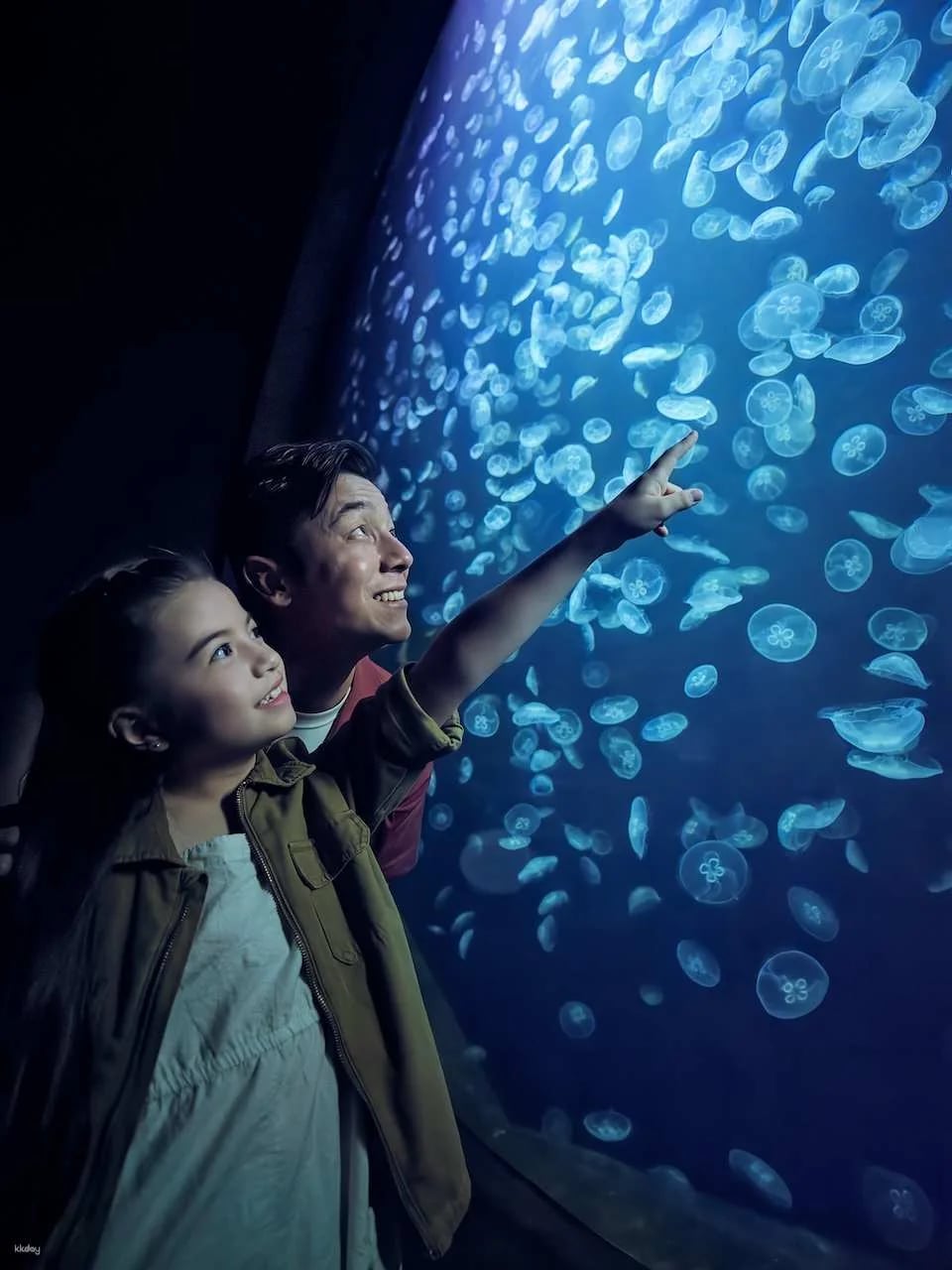 Singapore Oceanarium Ticket | Resorts World Sentosa, Singapore