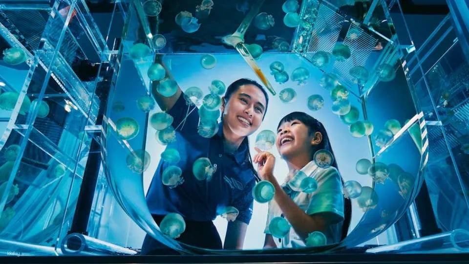 Singapore Oceanarium Ticket | Resorts World Sentosa, Singapore