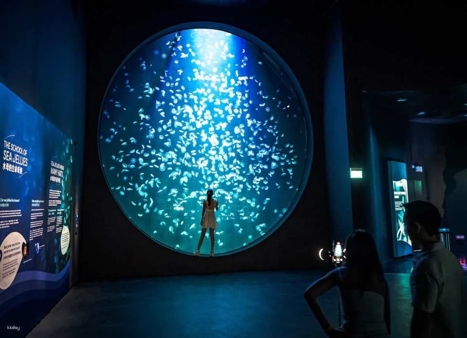 Singapore Oceanarium Ticket | Resorts World Sentosa, Singapore
