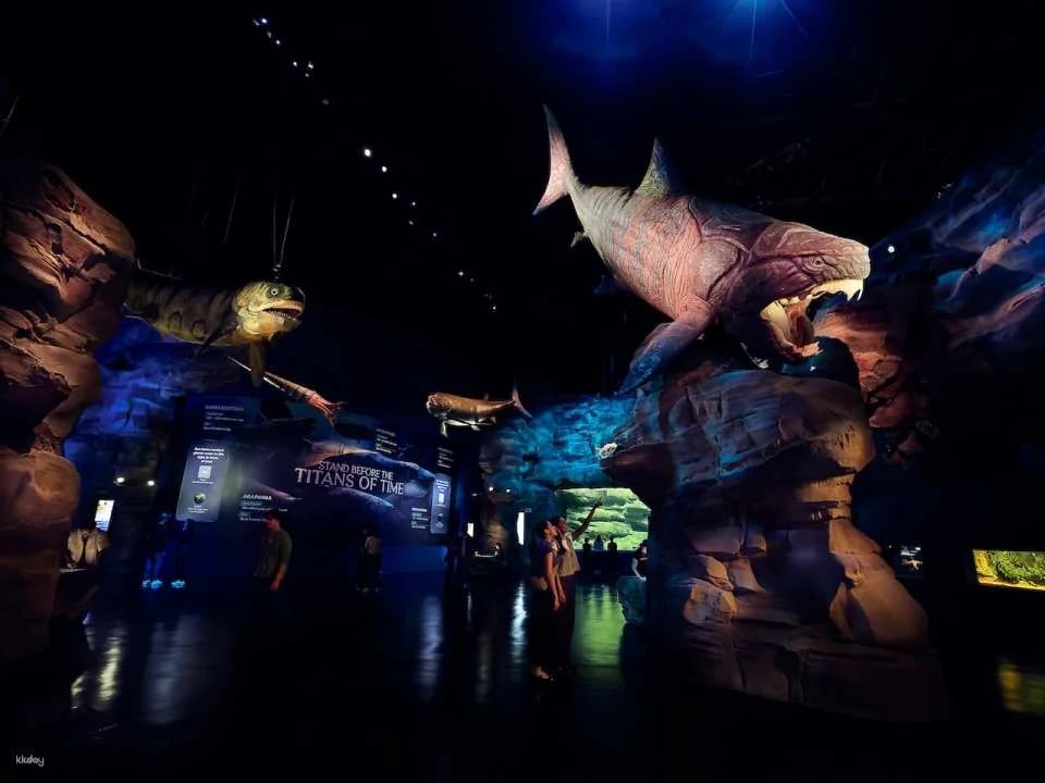Singapore Oceanarium Ticket | Resorts World Sentosa, Singapore