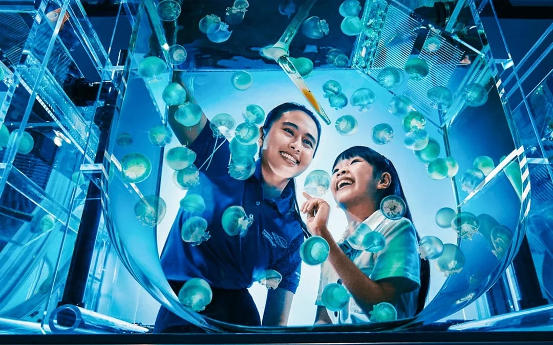 Singapore Oceanarium Tickets with Animal Spotlight & Ocean in Focus Image 1