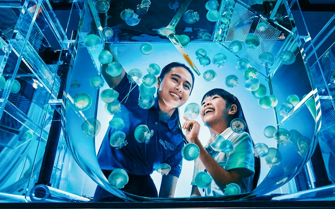 Singapore Oceanarium Tickets with Animal Spotlight & Ocean in Focus Image 1