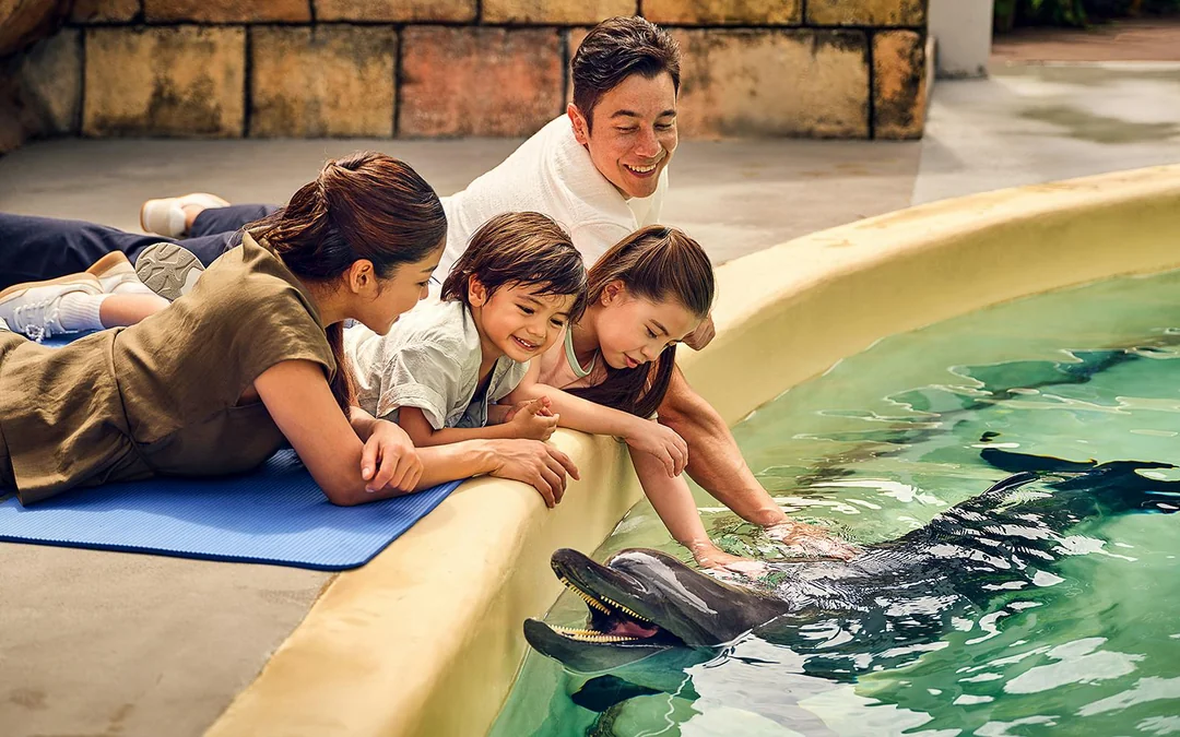 Singapore Oceanarium Tickets with Animal Spotlight & Ocean in Focus Image 5