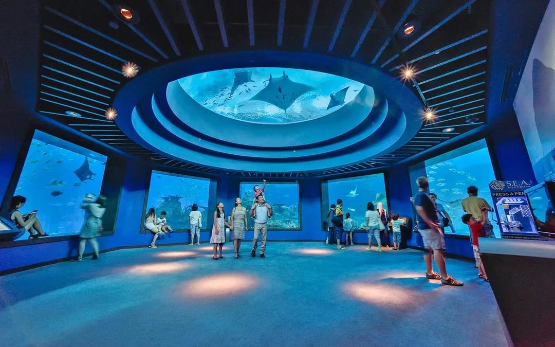 Singapore Oceanarium Tickets with Dolphin Moments Image 11