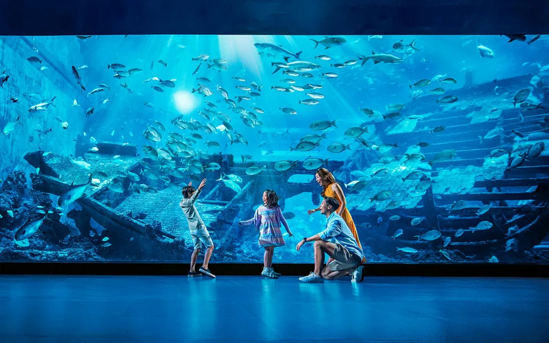 Singapore Oceanarium Tickets with Dolphin Moments Image 5