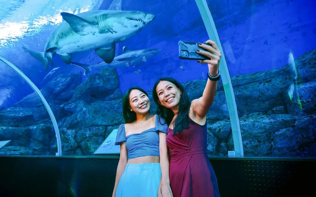 Singapore Oceanarium Tickets with Dolphin Moments Image 6