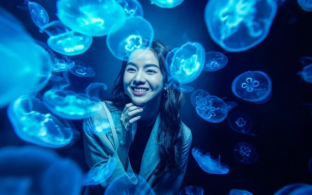 Singapore Oceanarium Tickets with Dolphin Moments Image 8