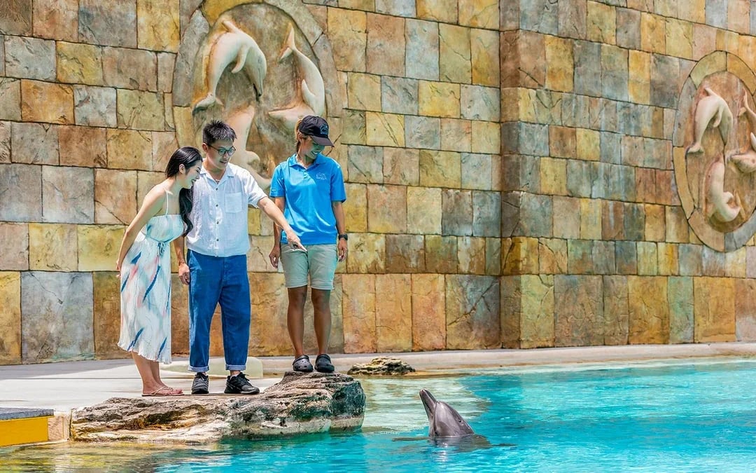 Singapore Oceanarium Tickets with Dolphin Moments Image 9