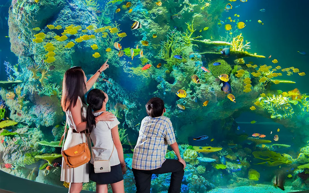 Singapore Oceanarium Tickets Image 3