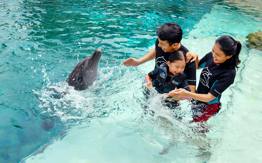 Singapore Oceanarium Tickets Image 11