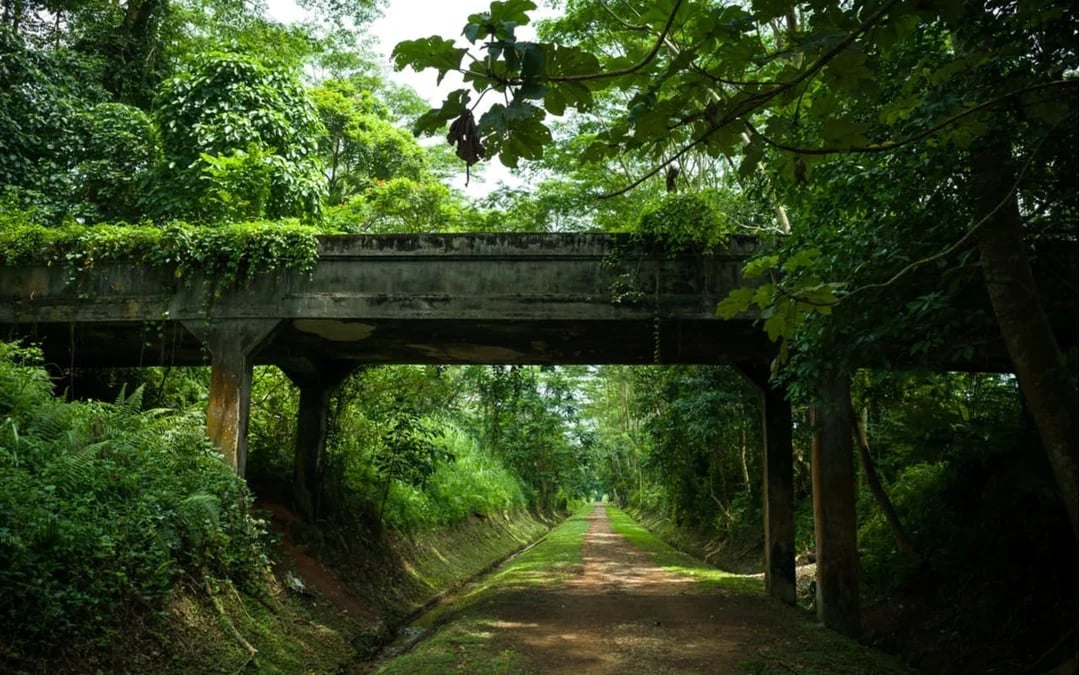 Singapore Time Travel: Self-Guided City Exploration Game Image 1