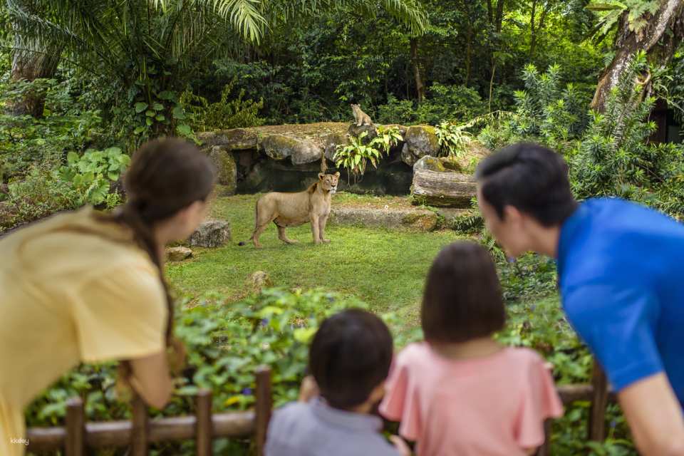Singapore Zoo Tickets | Mandai Wildlife Reserve, Singapore