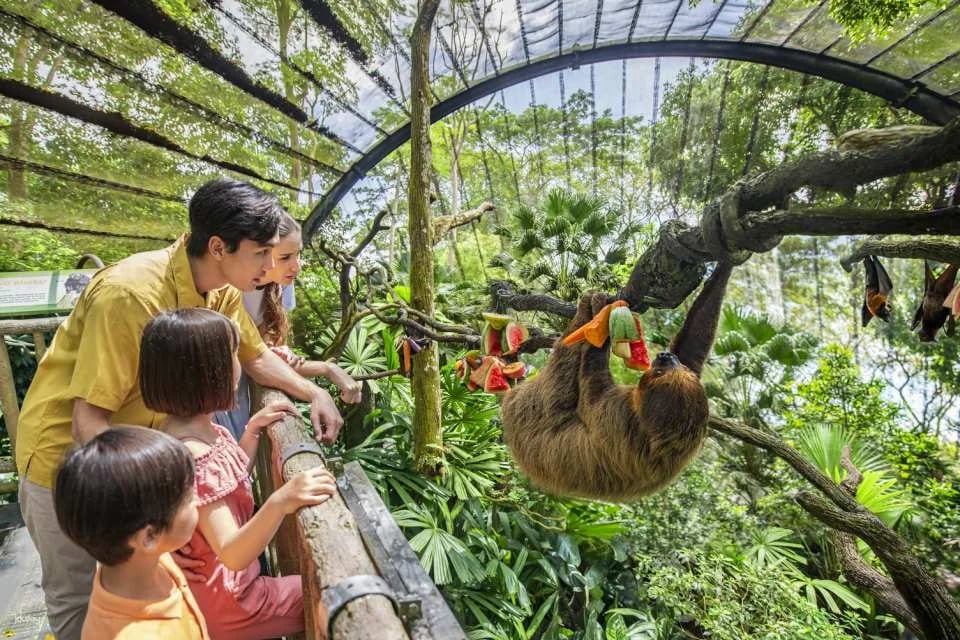 Singapore Zoo Tickets | Mandai Wildlife Reserve, Singapore