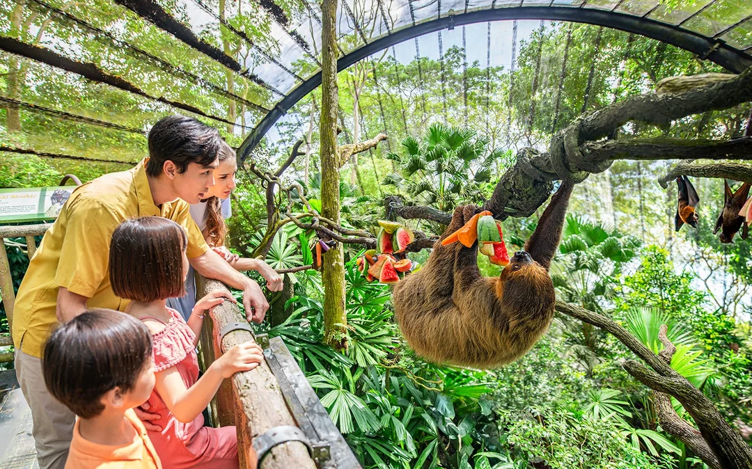 Singapore Zoo Tickets | Mandai Wildlife Reserve Image 2