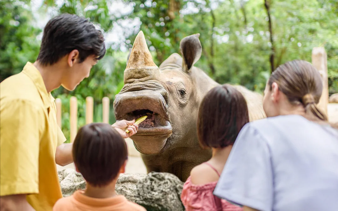 Singapore Zoo Tickets | Mandai Wildlife Reserve Image 3