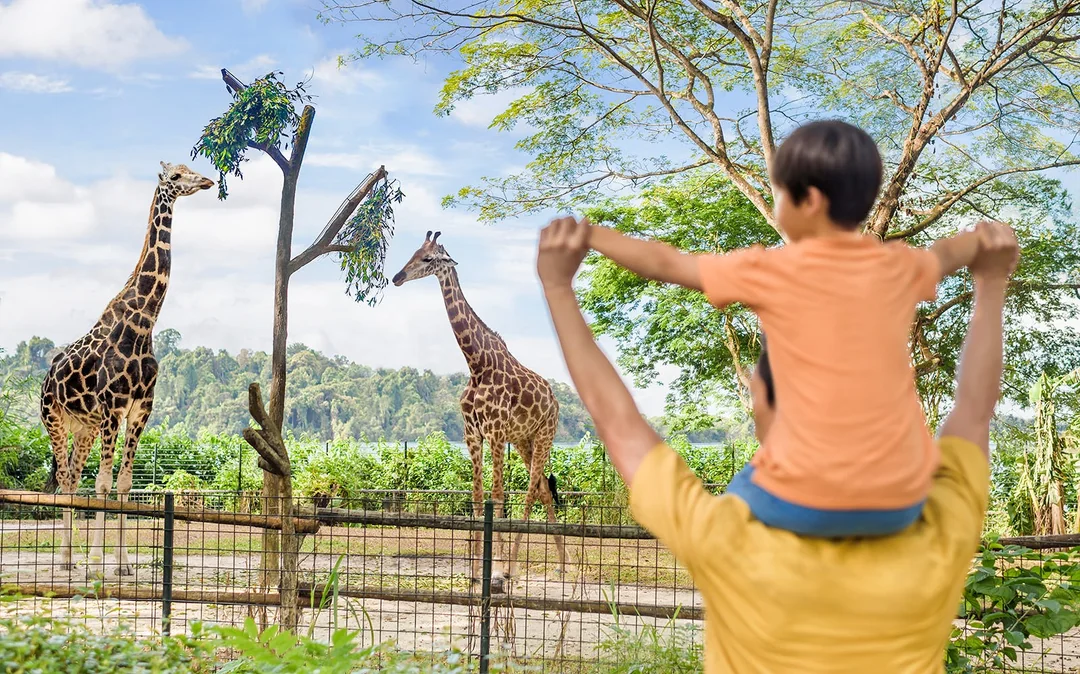 Singapore Zoo Tickets | Mandai Wildlife Reserve Image 4