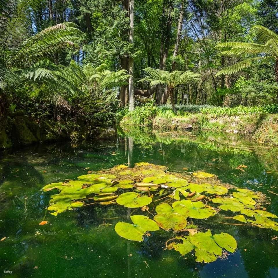 Sintra Portugal | Palace of Monserrate Ticket