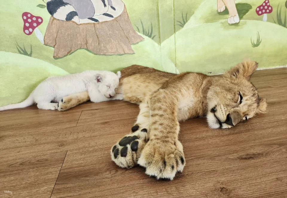 Siri Park & Zoo by Sriracha Tiger Zoo | Thailand
