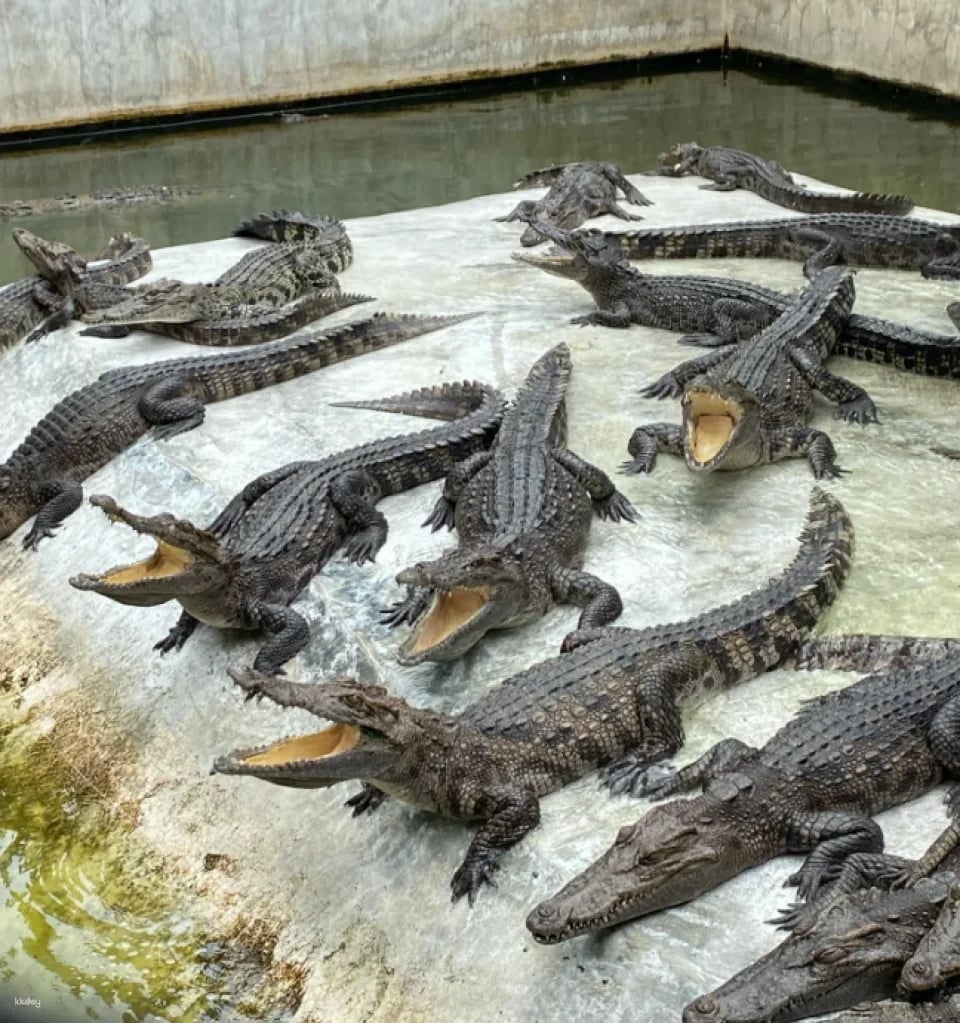 Siri Park & Zoo by Sriracha Tiger Zoo | Thailand