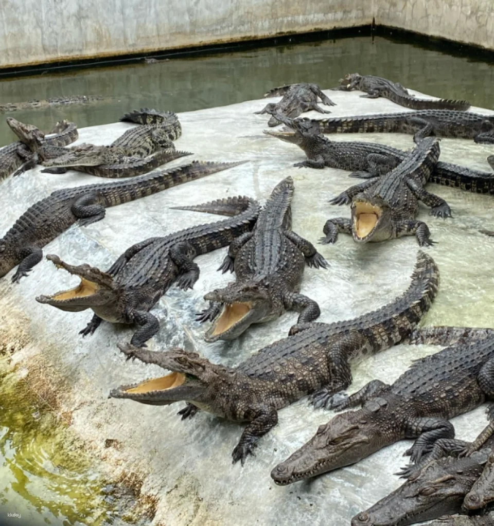 Siri Park & Zoo by Sriracha Tiger Zoo | Thailand