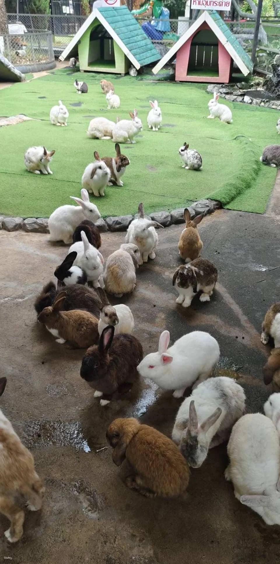Siri Park & Zoo by Sriracha Tiger Zoo | Thailand