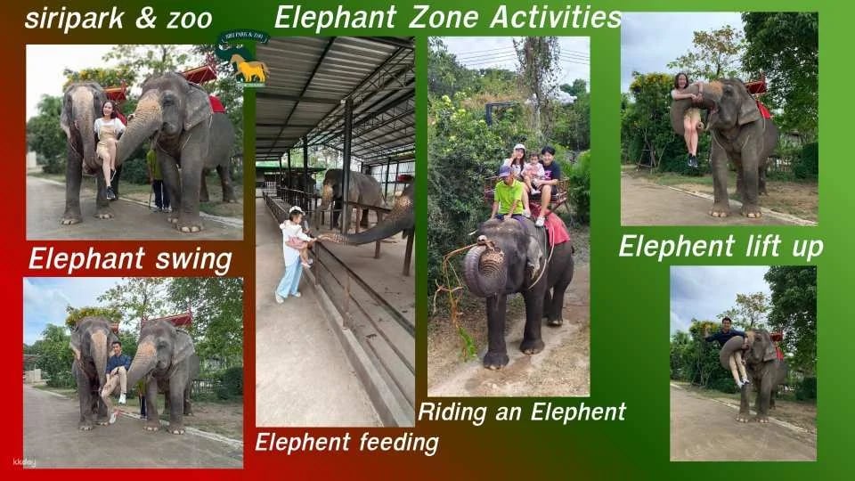Siri Park & Zoo by Sriracha Tiger Zoo | Thailand