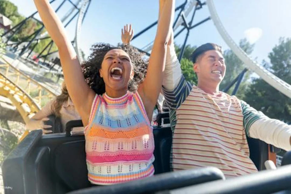 Six Flags Magic Mountain One Day Ticket