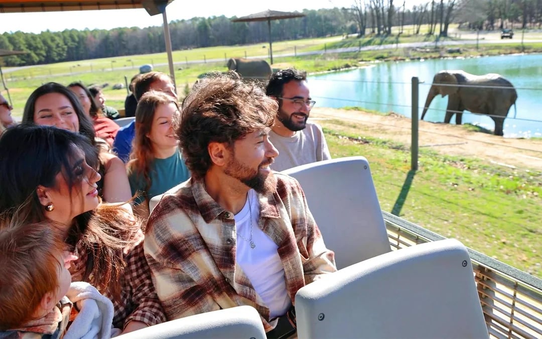 Six Flags Wild Safari: Guided Off-Road Safari Adventure Ticket Image 6