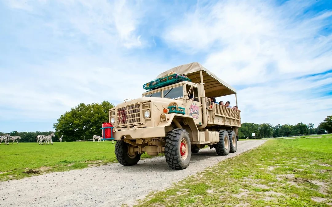 Six Flags Wild Safari: Guided Off-Road Safari Adventure Ticket Image 7
