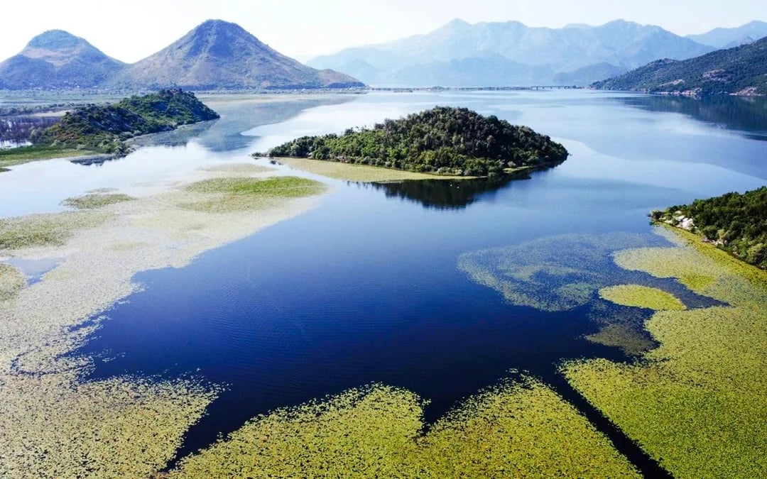 SKADAR LAKE WILD BEAUTY 2H BOAT TOUR Image 2