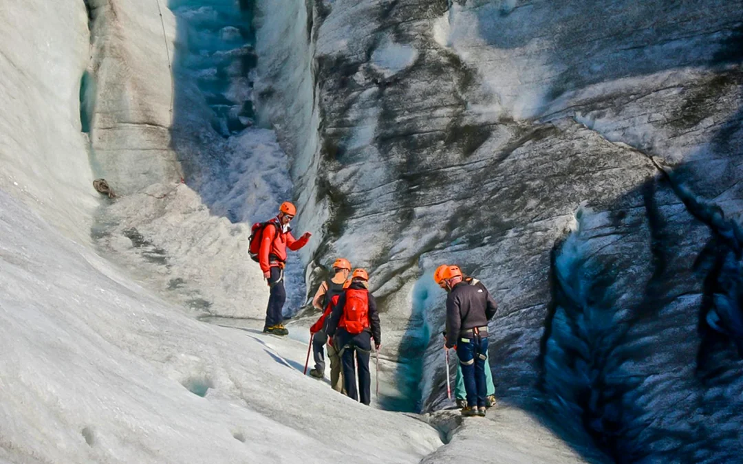Skaftafell: Moderate Glacier Hike & Ice Climbing  Image 4