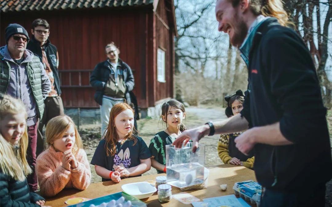 Skansen Open-Air Museum Entry Ticket Image 9
