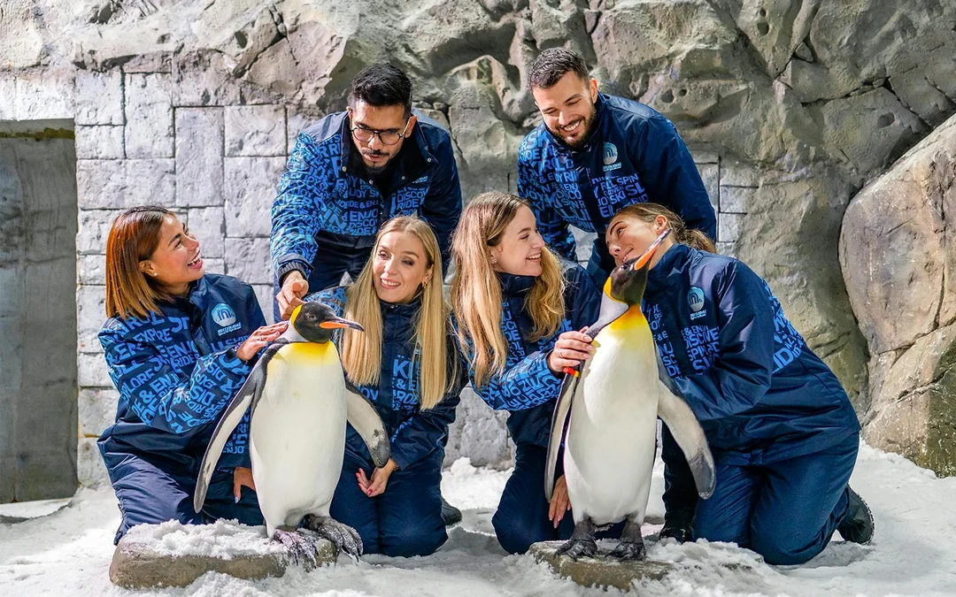 Ski Dubai: Snow Premium Tickets with Penguin Encounter Image 1