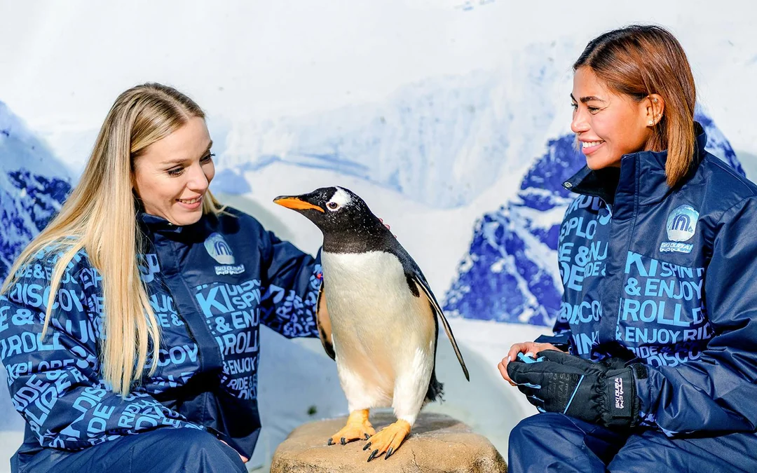 Ski Dubai: Snow Premium Tickets with Penguin Encounter Image 2