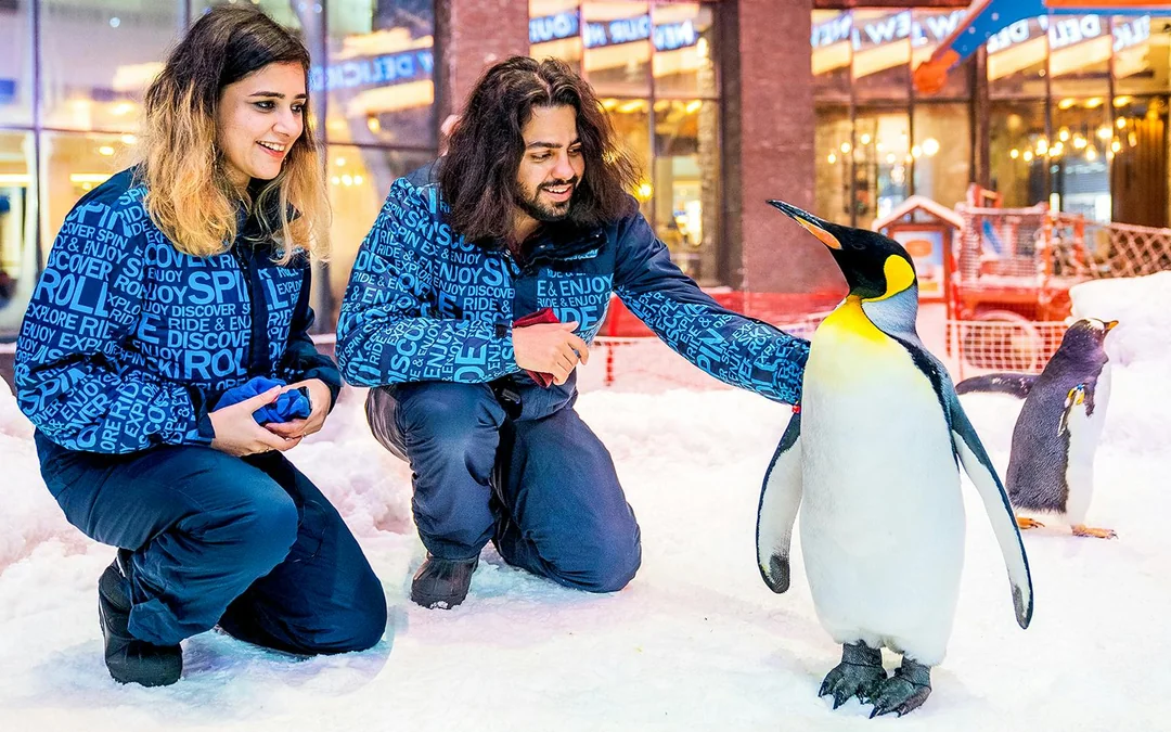 Ski Dubai: Snow Premium Tickets with Penguin Encounter Image 5