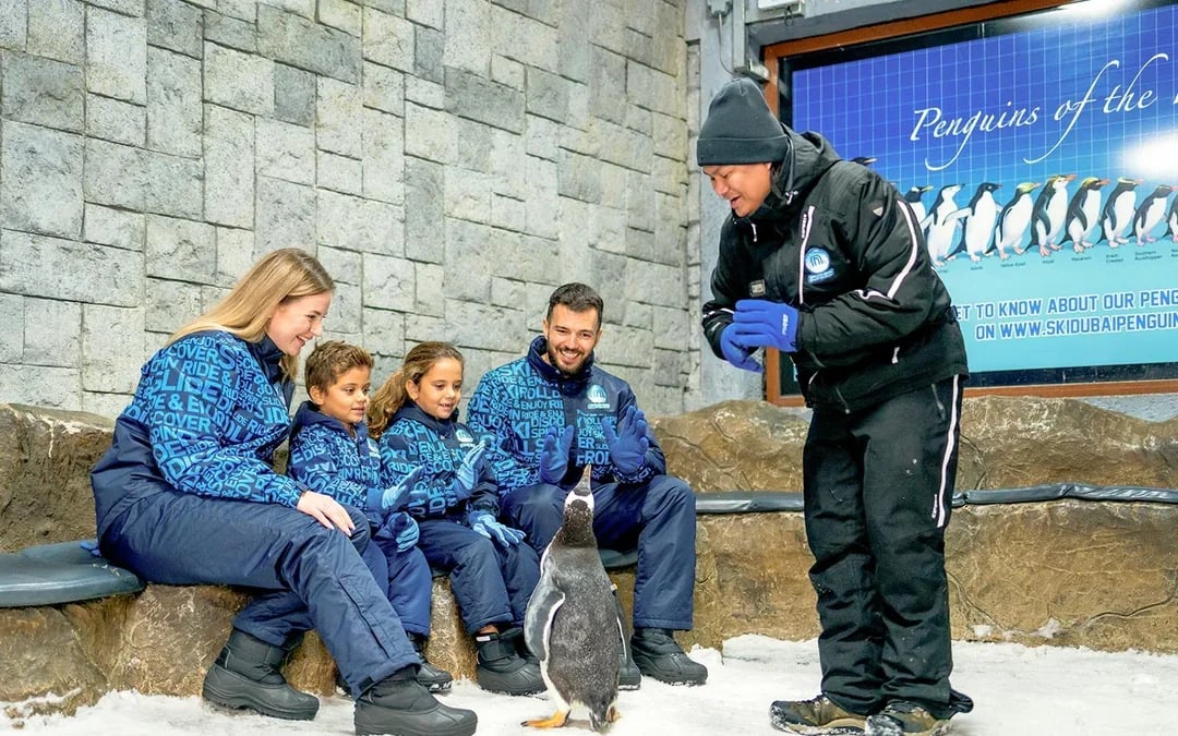 Ski Dubai: Snow Premium Tickets with Penguin Encounter Image 7