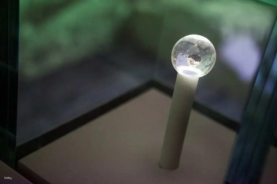 Skip the line tickets to the National Museum of Science and Technology Leonardo da Vinci