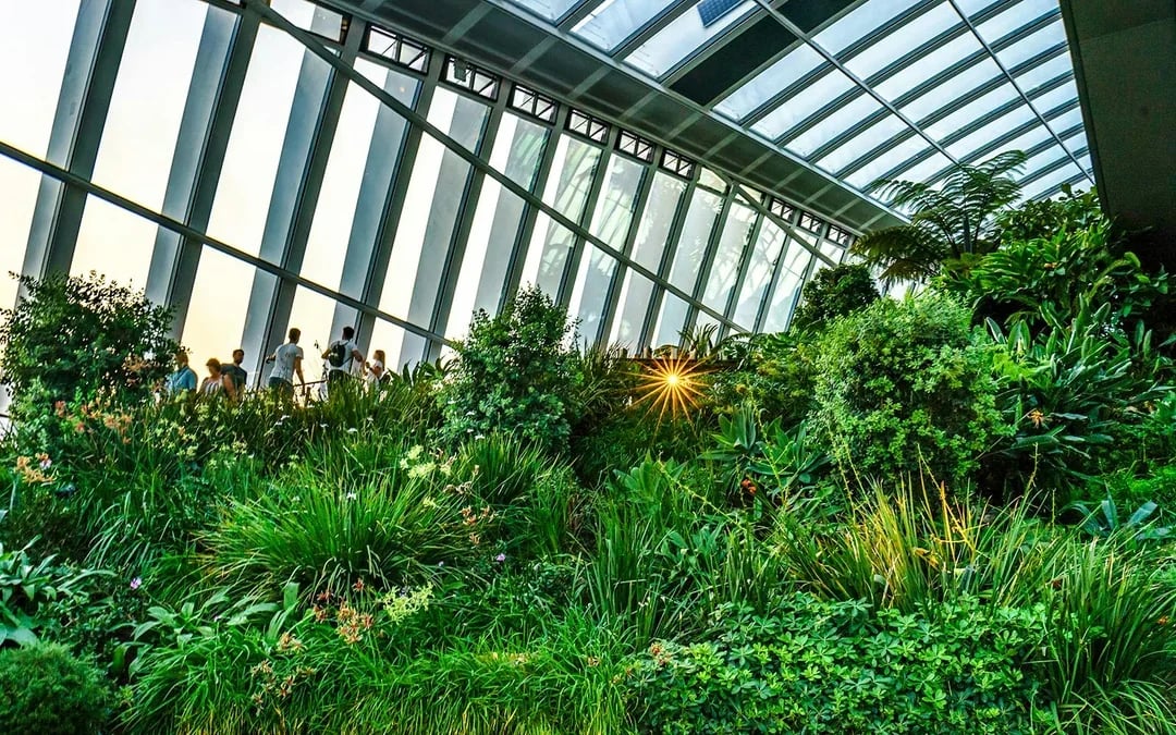 Sky Garden Early Access Tickets with Coffee & Croissant Image 11