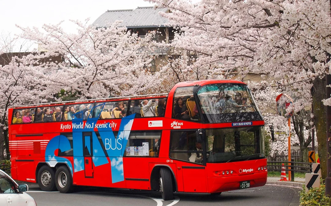 Sky Hop Bus: Kyoto Hop-On Hop-Off Bus Tour Image 3