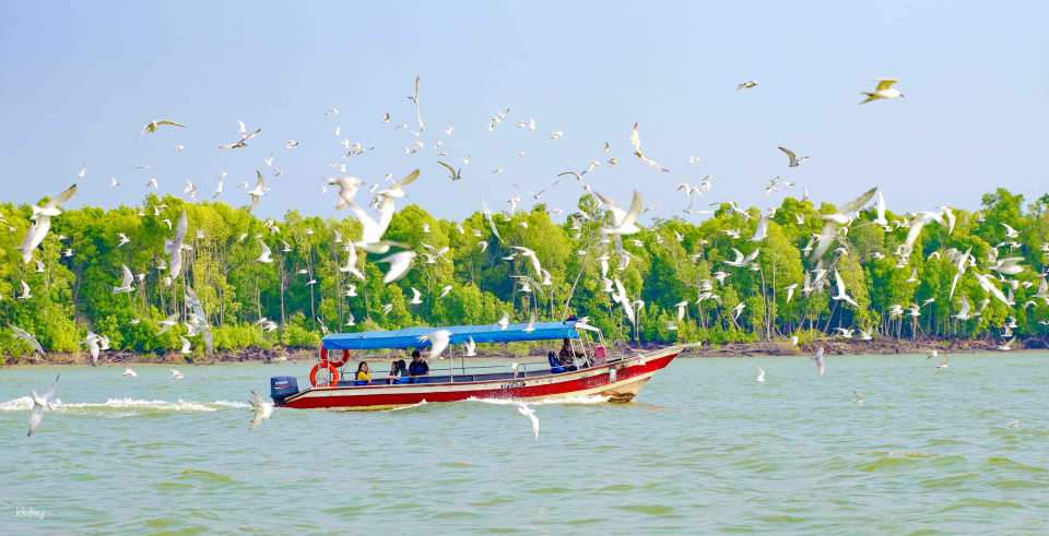 Sky Mirror, Eagle Feeding, Blue Tears, Fireflies Experience | Kuala Selangor, Malaysia