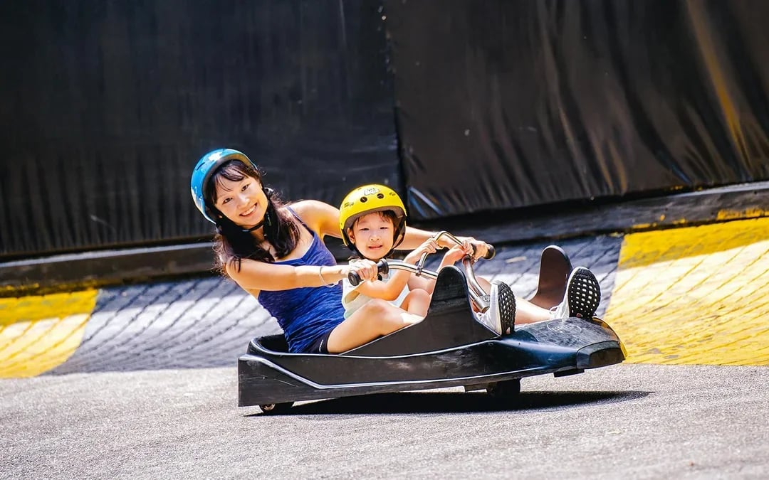 Skyline Luge & Skyride Singapore Tickets
 Image 9