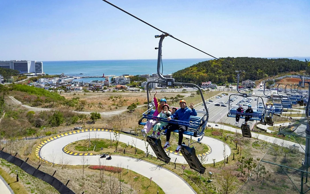 Skyline Luge Busan Tickets with Skyride Access Image 2